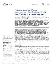 Structural Basis for Effector Transmembrane Domain Recognition