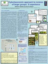 Dmitriev Cybertaxonomy.Pdf