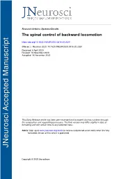 The Spinal Control of Backward Locomotion