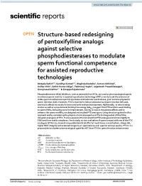 Structure-Based Redesigning of Pentoxifylline Analogs Against