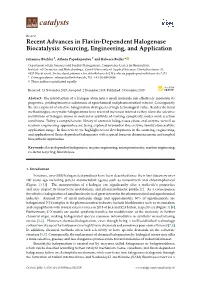 Review Halogenase