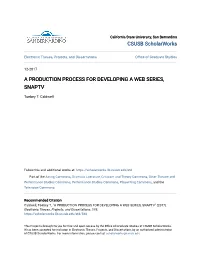A Production Process for Developing a Web Series, Snaptv