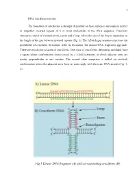 DNA Cruciform Structure