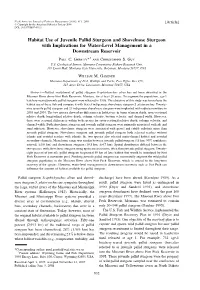 Habitat Use of Juvenile Pallid Sturgeon and Shovelnose Sturgeon with Implications for Water-Level Management in a Downstream Reservoir