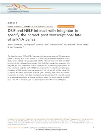 DSIF and NELF Interact with Integrator to Specify the Correct Post-Transcriptional Fate of Snrna Genes