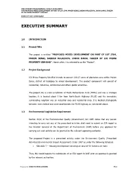 Executive Summary