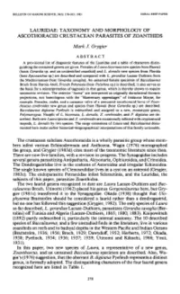 Lauridae: Taxonomy and Morphology of Ascothoracid Crustacean Parasites of Zoanthids