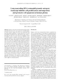 Long Noncoding RNA Eosinophil Granule Ontogeny Transcript Inhibits Cell Proliferation and Migration and Promotes Cell Apoptosis in Human Glioma