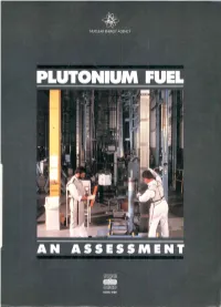 Plutonium Fuel in Thermal Reactors; And