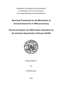 Structural Framework for the Mechanism of Archaeal Exosomes in RNA Processing
