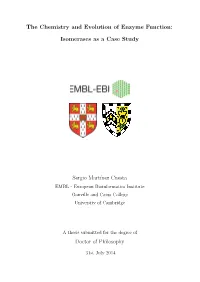 The Chemistry and Evolution of Enzyme Function