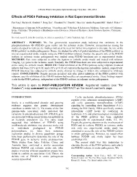 Effects of PDE4 Pathway Inhibition in Rat Experimental Stroke