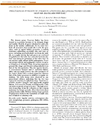 Phylogenetic Position of Toxarium, a Pennate-Like Lineage Within Centric Diatoms (Bacillariophyceae)1