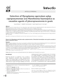 Detection of Mycoplasma Capricolum Subsp. Capripneumoniae and Mannheimia Haemolytica As Causative Agents of Pleuropneumonia in Goats