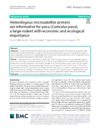Heterologous Microsatellite Primers Are Informative for Paca (Cuniculus Paca), a Large Rodent with Economic and Ecological Importance Franco F
