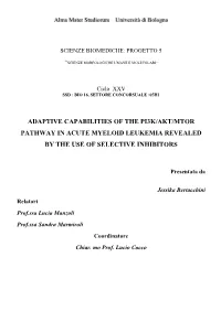 Adaptive Capabilities of the Pi3k/Akt/Mtor Pathway in Acute Myeloid Leukemia Revealed by the Use of Selective Inhibitors