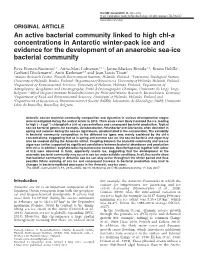 An Active Bacterial Community Linked to High Chl-A Concentrations In