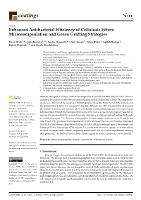 Enhanced Antibacterial Efficiency of Cellulosic Fibers: Microencapsulation and Green Grafting Strategies