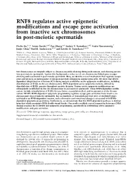 RNF8 Regulates Active Epigenetic Modifications and Escape Gene Activation from Inactive Sex Chromosomes in Post-Meiotic Spermatids