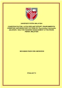 Condition Factor, Catch Per Unit Effort, Environmental