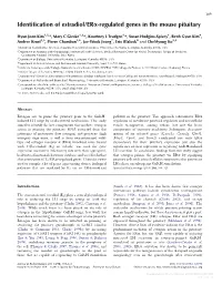 Identification of Estradiol/Era-Regulated Genes in the Mouse Pituitary