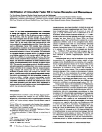 Identification of Intracellular Factor XIII in Human Monocytes and Macrophages