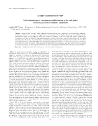 SHORT COMMUNICATION Field Observations of Simultaneous Double Mating in the Wolf Spider Rabidosa Punctulata (Araneae: Lycosidae)