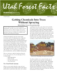 Getting Chemicals Into Trees Without Spraying