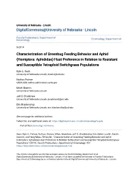 Hemiptera: Aphididae) Host Preference in Relation to Resistant and Susceptible Tetraploid Switchgrass Populations