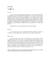 Β-Lactam Overview Along with Mezlocillin and Azlocillin
