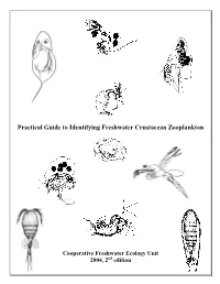 Practical Guide to Identifying Freshwater Crustacean Zooplankton