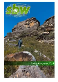 Spring Program 2019