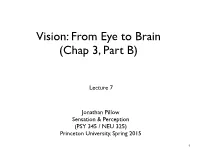 Vision: from Eye to Brain (Chap 3, Part B)
