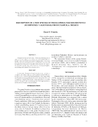 Description of a New Species of Troglophile