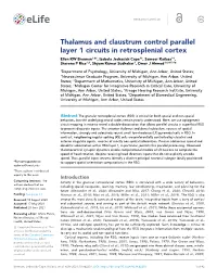 Thalamus and Claustrum Control Parallel Layer 1 Circuits In