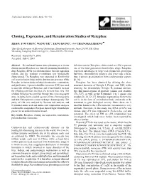 Cloning, Expression, and Renaturation Studies of Reteplase