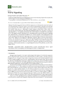 TGF-Β Signaling
