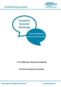 11C15: Walney Channel (Mainland)