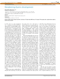 Deciphering Thymic Development