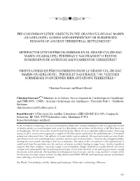 Pre-Columbian Lithic Objects in the Grand Cul-De-Sac Marin (Guadeloupe): Losses and Shipwrecks? Or Submerged Remains of Ancient Terrestrial Settlements?