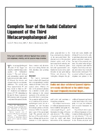 Complete Tear of the Radial Collateral Ligament of the Third Metacarpophalangeal Joint