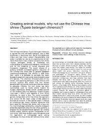 Creating Animal Models, Why Not Use the Chinese Tree Shrew (Tupaia Belangeri Chinensis)?