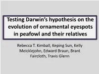 Testing Darwin's Hypothesis on the Evolution of Ornamental Eyespots In