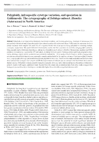 Polyploidy, Infraspecific Cytotype Variation, and Speciation in Goldenrods: the Cytogeography of Solidago Subsect