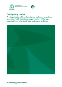 Draft Policy Review