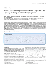 Palladin Is a Neuron-Specific Translational Target of Mtor Signaling That Regulates Axon Morphogenesis