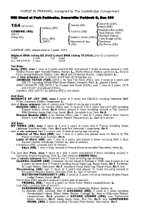 HORSE in TRAINING, Consigned by the Castlebridge Consignment