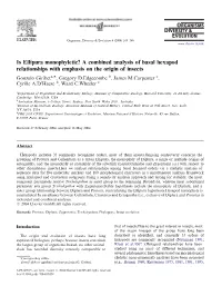 Is Ellipura Monophyletic? a Combined Analysis of Basal Hexapod