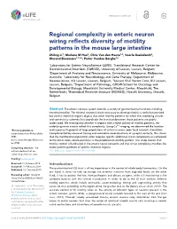 Regional Complexity in Enteric Neuron Wiring Reflects Diversity of Motility