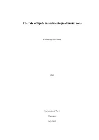The Fate of Lipids in Archaeological Burial Soils